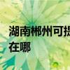 湖南郴州可提供佳能数码复合机维修服务地址在哪