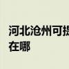 河北沧州可提供富士施乐复印机维修服务地址在哪