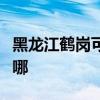 黑龙江鹤岗可提供佳能复印机维修服务地址在哪