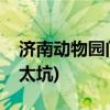 济南动物园门票多少钱(章丘野生动物园门票太坑) 济南动物园门票多少钱(章丘野生动物园门票太坑)