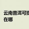 云南普洱可提供佳能数码复合机维修服务地址在哪