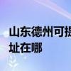 山东德州可提供爱普生针式打印机维修服务地址在哪