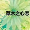 草木之心怎么样(草木之心属于什么档次)