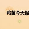 鸭苗今天报价最新 鸭苗批发地址和价格