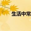 生活中常见的豆腐主要原料其实是?