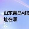 山东青岛可提供夏普多功能一体机维修服务地址在哪