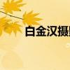 白金汉摄影包(世界顶级品牌摄影包)