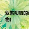 絮絮叨叨的意思是什么(絮絮叨叨形容什么动物)