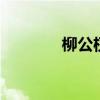 柳公权是哪朝人 柳公权简介