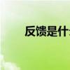 反馈是什么意思(反馈的目的是什么)