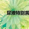 尿液特别黄是怎么回事 尿是黄的正常吗