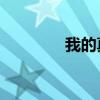 我的真Q5pro电池耐用吗？