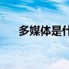 多媒体是什么意思(吉娜到底有多开放)