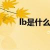 lb是什么计量单位 计量单位有哪些