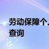 劳动保障个人信息查询 个人社保如何在网上查询