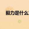 毅力是什么意思(关于坚持和毅力的名言)