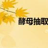 酵母抽取物 酵母抽提物的生产方法