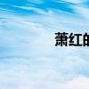 萧红的人物生平 萧红的一生