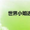 世界小姐选美大赛(亚洲小姐选美冠军)