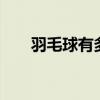 羽毛球有多少根羽毛 羽毛球单打规则