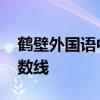鹤壁外国语中学 鹤壁市外国语中学小升初分数线