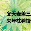 冬天麦盖三层被的下一句 今冬麦盖三层被，来年枕着馒头睡
