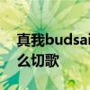 真我budsair3怎么看电量 真我BudsAir3怎么切歌 