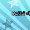 收据格式 收据的正确格式范文优质