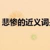 悲惨的近义词是什么(悲惨的意思是什么解释)