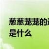 葱葱茏茏的近义词是什么 蓊蓊郁郁的近义词是什么