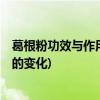 葛根粉功效与作用(爱吃葛根的人，身体会逐渐发生7个喜人的变化)