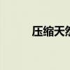 压缩天然气密度 压缩天然气燃料