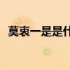 莫衷一是是什么意思(流派纷呈是什么意思)