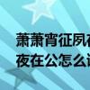萧萧宵征夙夜在公形容什么场景 肃肃宵征夙夜在公怎么读