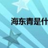 海东青是什么 海东青为什么是万鹰之神 海东青是什么 海东青为什么是万鹰之神