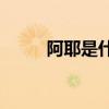 阿耶是什么意思(阿塔是什么意思)
