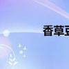 香草豆荚 香草荚多少钱一斤