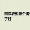树脂衣柜哪个牌子好 树脂衣柜到底好不好 树脂衣柜哪个牌子好 