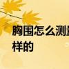 胸围怎么测量才标准 测胸围的正确方法是怎样的 