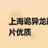 上海诡异龙形高架桥墩 上海龙柱打桩出血图片优质
