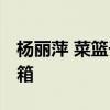 杨丽萍 菜篮子 杨丽萍机场拉“菜篮子”行李箱 杨丽萍 菜篮子 杨丽萍机场拉“菜篮子”行李箱