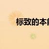 标致的本能概念将连接您的所有事物 标致的本能概念将连接您的所有事物