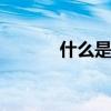 什么是质数 质数到底是什么数