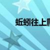 蚯蚓往上爬 蚯蚓爬出来预示什么天气
