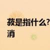 菽是指什么? 菽类蛋白营养高，健脾益气水肿消