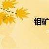 钼矿选矿设备 尾矿回收机