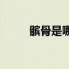 髌骨是哪个部位(髌骨正常位置图)