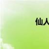 仙人掌的具体用途是什么