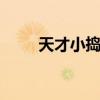 天才小捣蛋国语 天才小捣蛋英文名