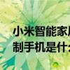小米智能家居在哪里定制 小米第一款城市定制手机是什么 小米智能家居在哪里定制 小米第一款城市定制手机是什么